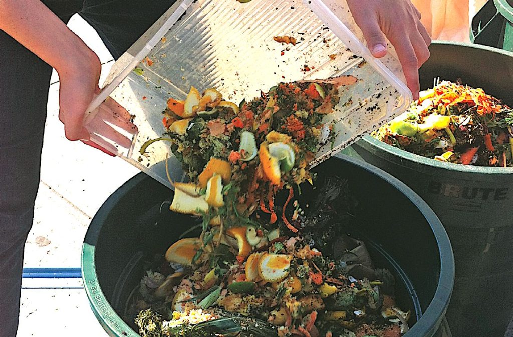 Impacto Ambiental y Sostenibilidad