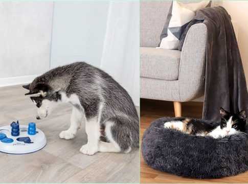 Pienso, juguetes y más mejores chollazos para Mascotas de Amazon