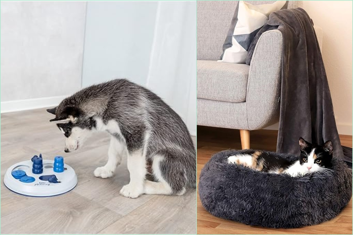 Pienso, juguetes y más mejores chollazos para Mascotas de Amazon