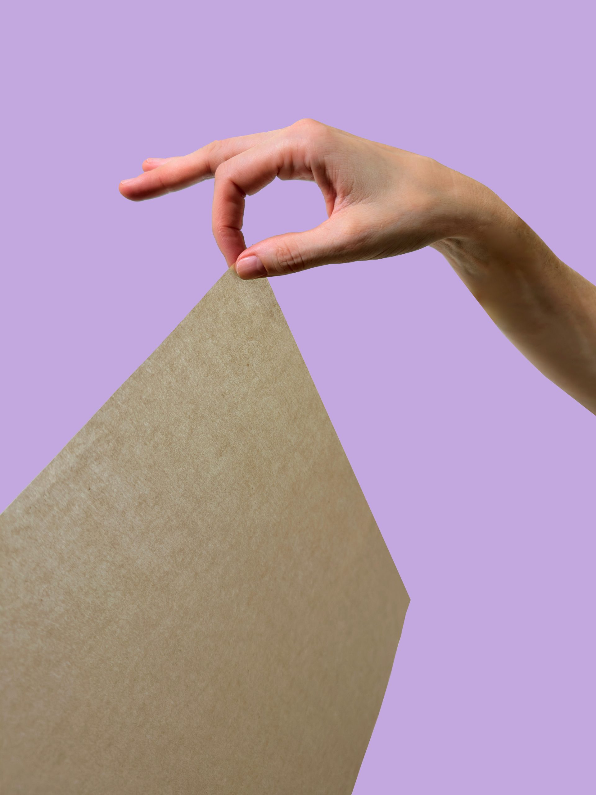 Skinny Packaging: Cómo el packaging puede beneficiar a las empresas, a los consumidores y al medio ambiente 1 Premier Pur scaled