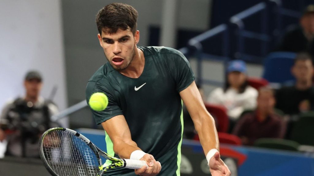 Tiene buenos registros ante Dimitrov