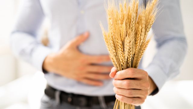 shutterstock 2176525515 1 640x360 1