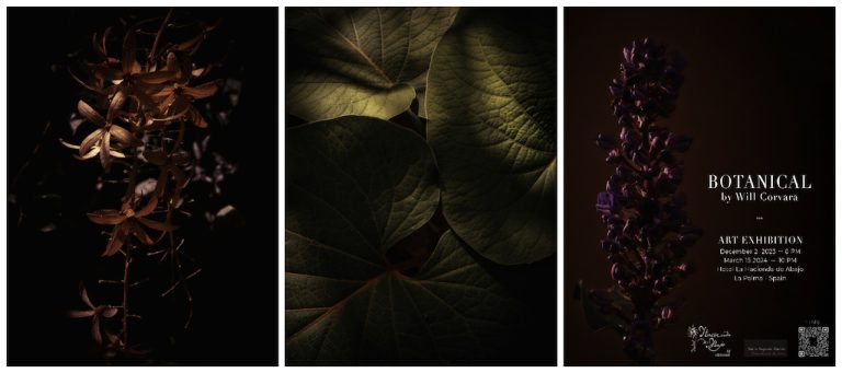 De Botanical (con Will Corvara) a Monet: las ocho exposiciones que no puedes perderte en diciembre