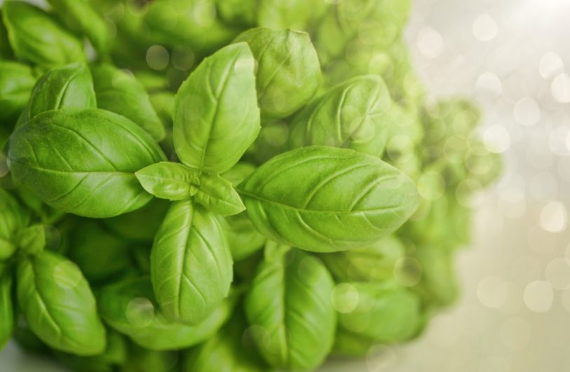 La poderosa hierba que debes agregar a tu dieta para una alimentación saludable y te ayudará a desaparecer tus cicatrices