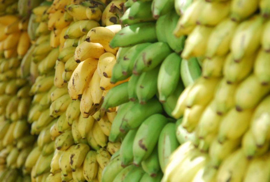 Te explicamos el truco para mantener tus bananas frescas por más tiempo
