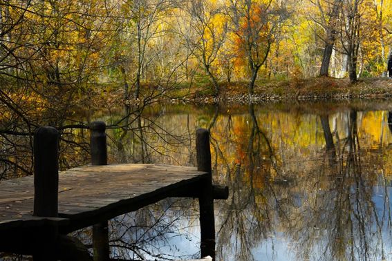 Descubre los 5 tesoros ocultos de la Sierra de Madrid