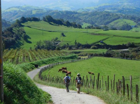 Carlos (62 años), guía turístico: Carlos (62 años), guía turístico:
