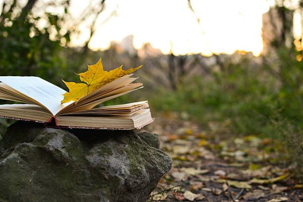 Estos son los libros que te mantendrán enganchado todo el otoño desde la primera página