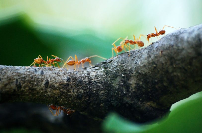 Fuera de toda lógica: Estas son las 25 fobias más curiosas y extrañas del mundo