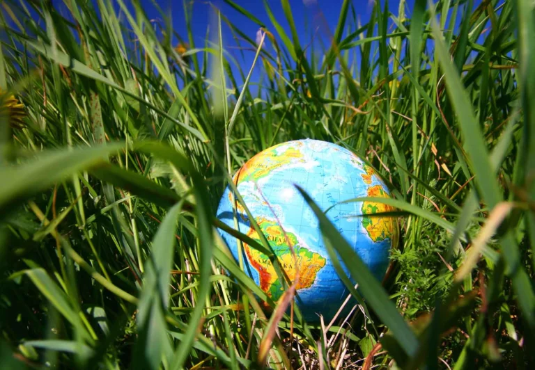 Formas de disfrutar de un viaje sustentable y responsable