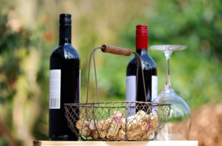 La Guía Vinos Gourmets (GVG) ya tiene su selección de los mejores vinos producidos en Andalucía este 2023. Aquí te los nombramos