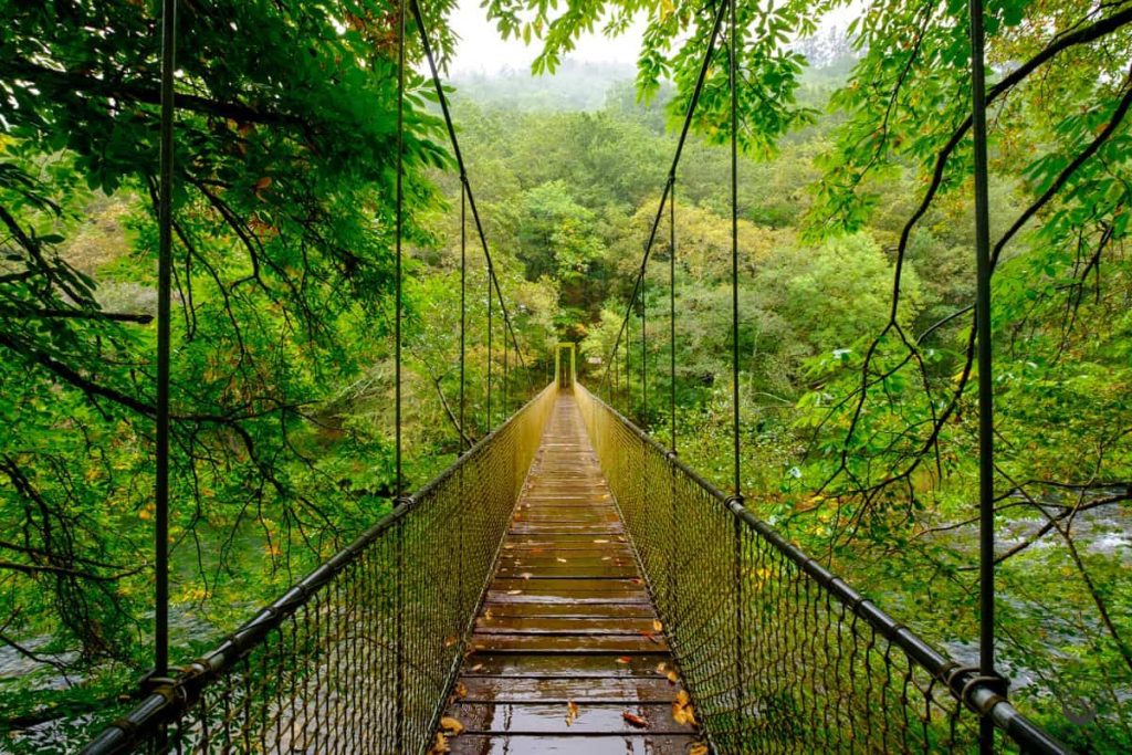 Redescubre Viveiro: una joya en las costas de Lugo 179 Naturaleza en estado puro: Reservas y Espacios Protegidos