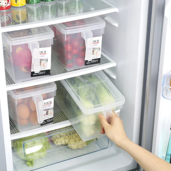 Las palabras de los expertos 