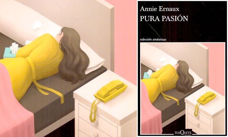 Pura Pasión de Annie Ernaux