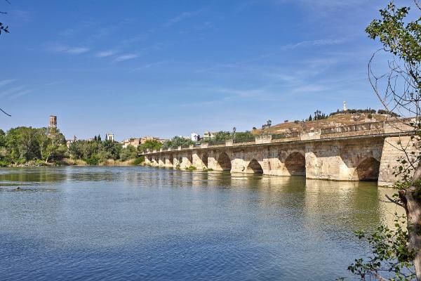 Tras las huellas del tiempo: Historia viva en Tudela