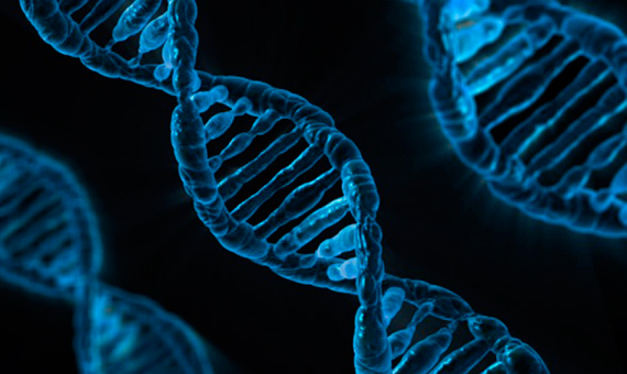 bbva openmind mrejon genes saltarines