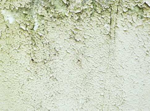 humedad en la pared