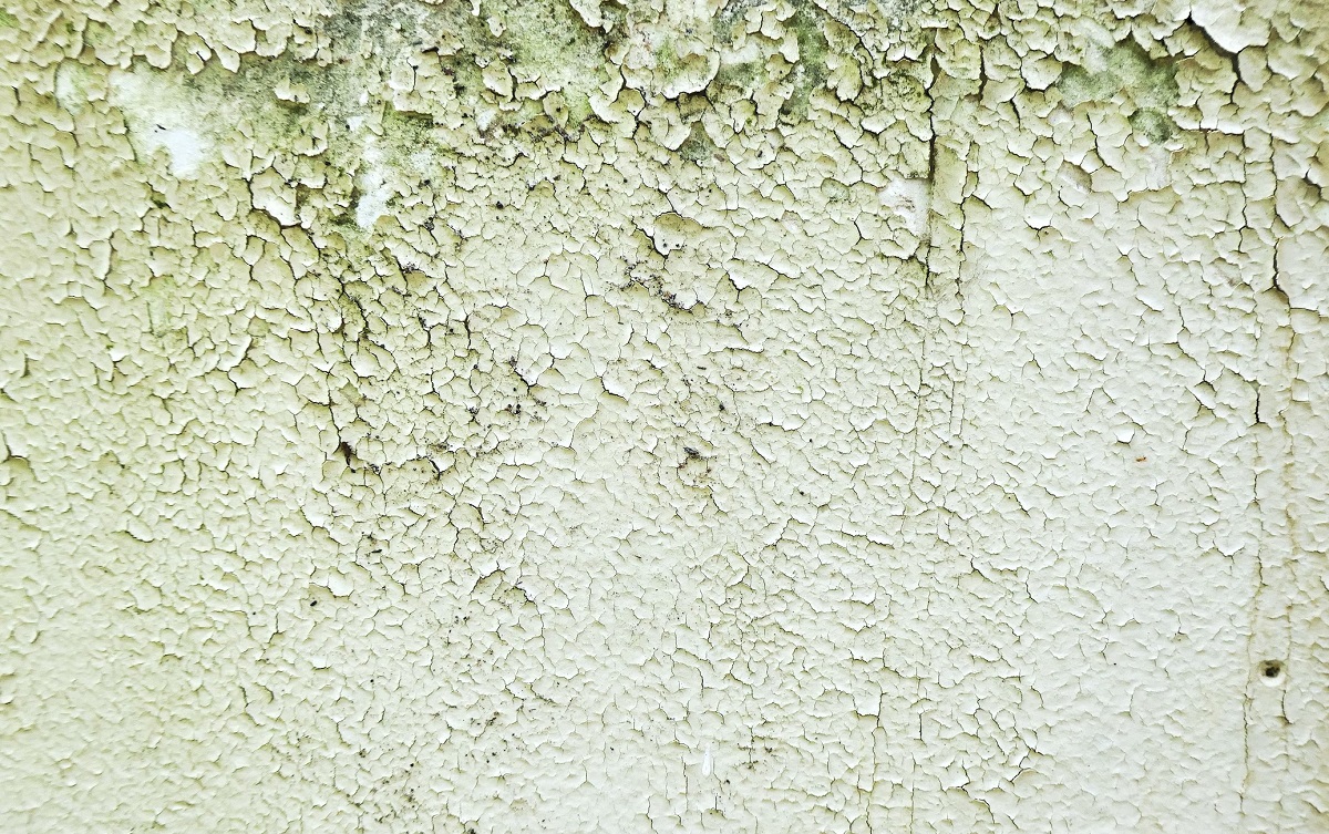humedad en la pared