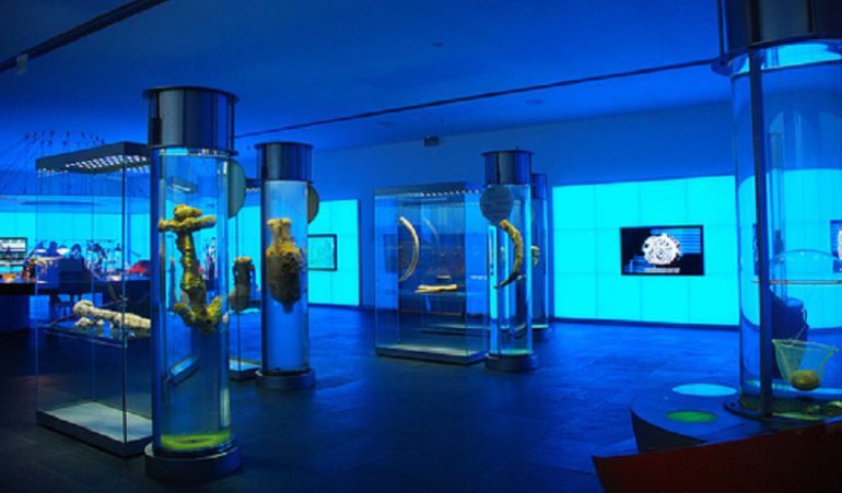 Joyas ocultas: los museos más hermosos de España que quizás no conocías 8 image 75 4