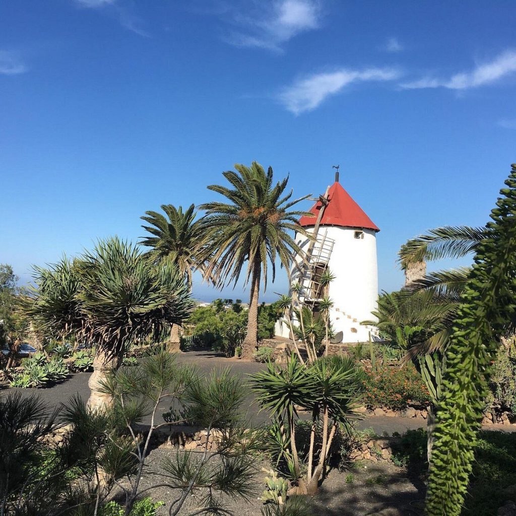 Los museos a cielo abierto más cautivadores de España para explorar 243 image 76 17
