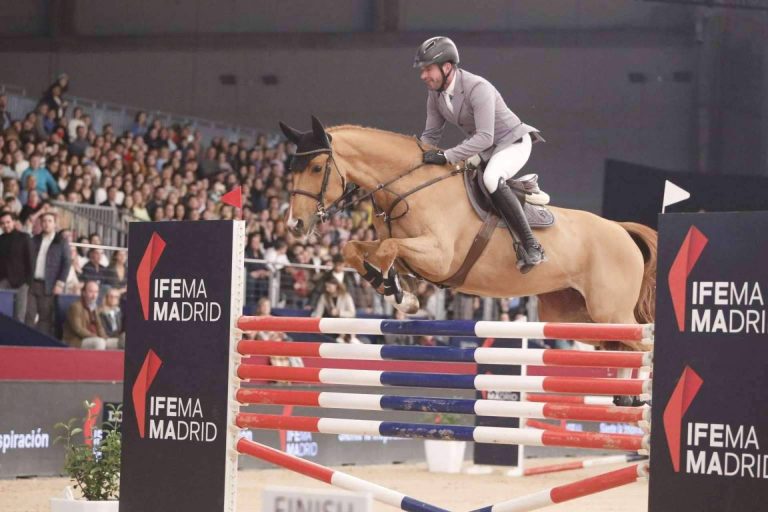 La importancia de crear buen contenido y del posicionamiento web