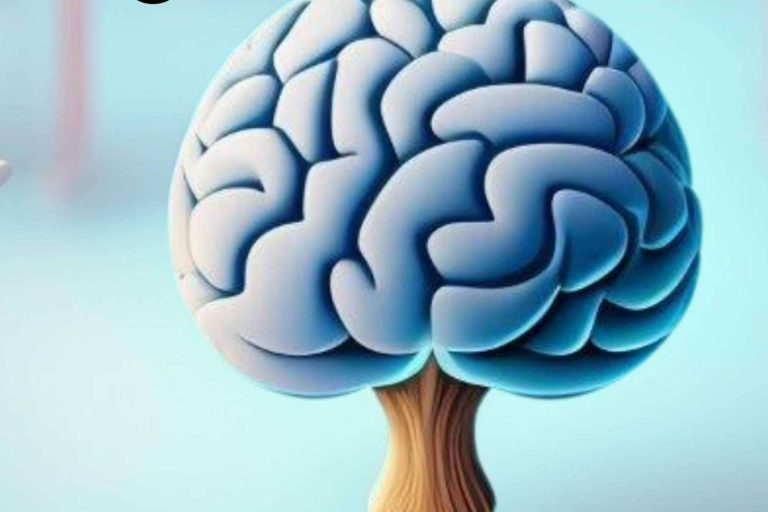 En diciembre, se celebrará el II Congreso Internacional de Neuropedagogía en Jaén