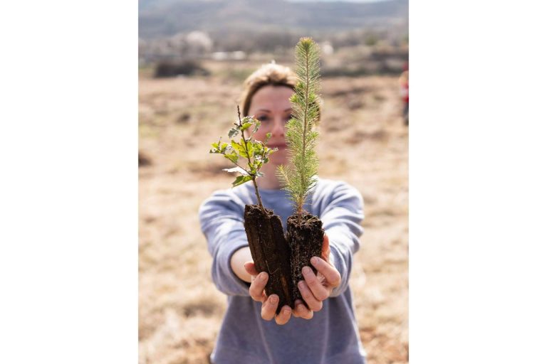Deteniendo el reloj del Juicio Final; Nonodoom reforesta con cada compra