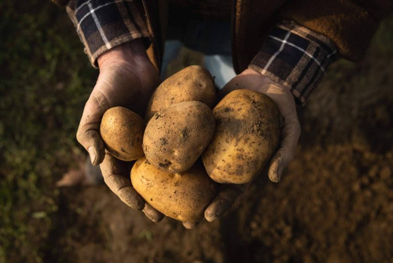 Disfrutar de las patatas gallegas en Barcelona gracias a Patatas Yago