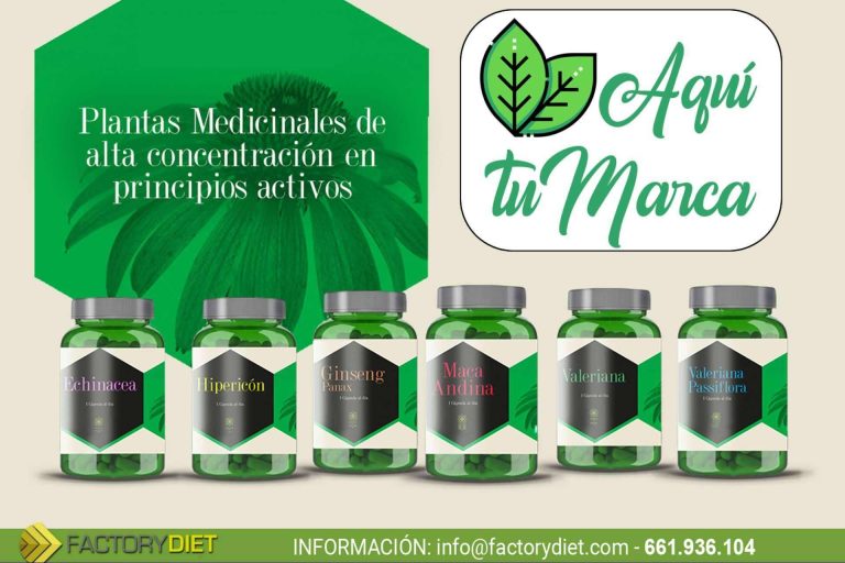 Diferenciarse en las redes sociales de la mano de FactoryDiet