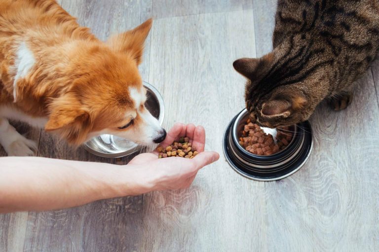 Era Pet Food, expertos en el sector de la alimentación animal