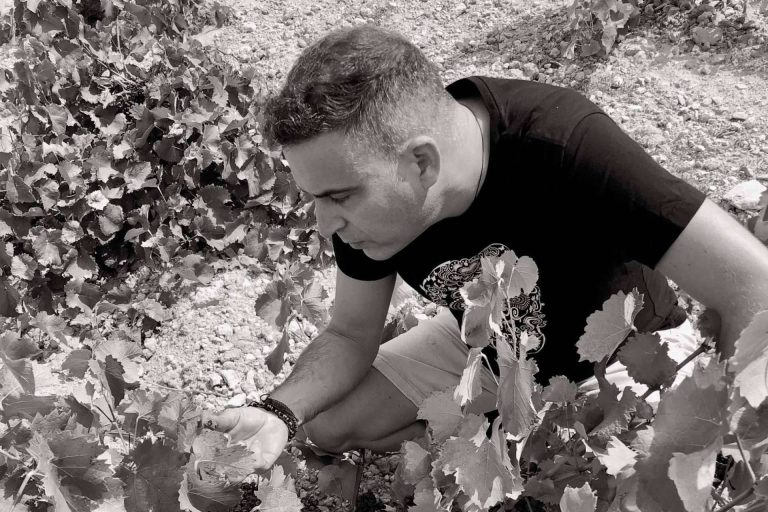 Descubrir la esencia de la uva Monastrell con DEMUERTE WINES