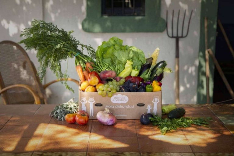 La empresa Disfruta y Verdura anuncia su top 20 de otoño
