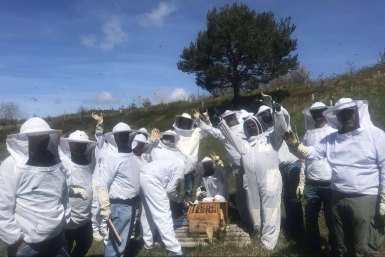 Cursos Apicultura ofrece formación apicultura