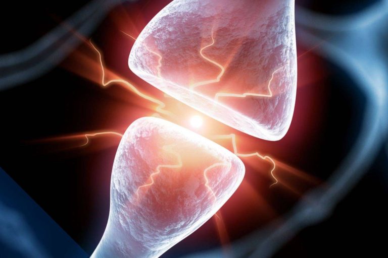 Especializaciones en neurociencia y todas sus aplicaciones, con ANE International