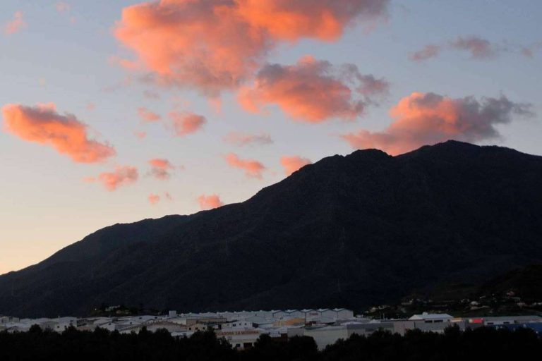 Estepona Real Estate, con Purisol Properties