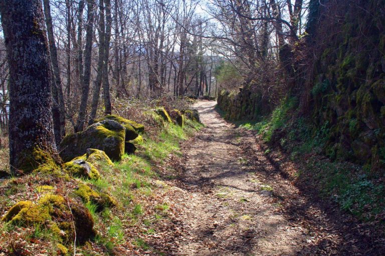 Centro de Rutas en Sanabria y Carballeda, diferentes rutas para MTB y senderismo