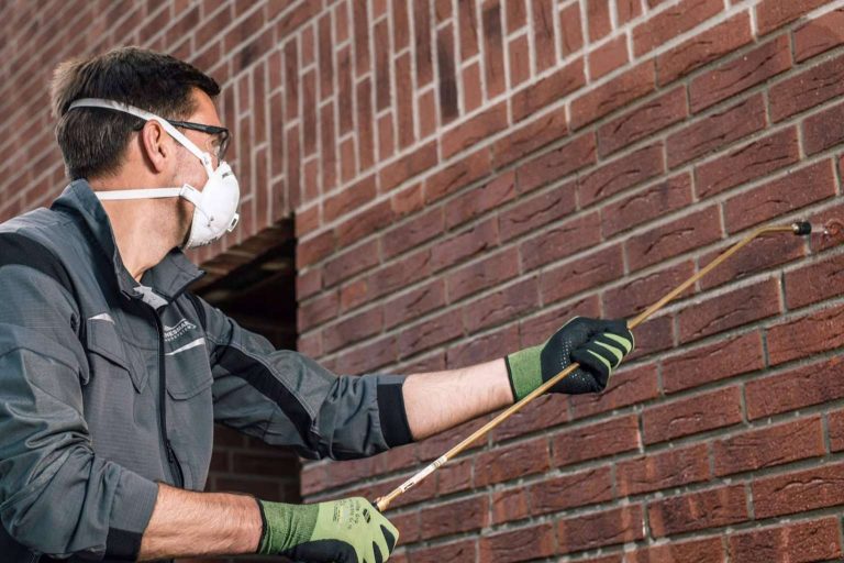 BKM Solutions y las ventajas de contratar a empresas especializadas en humedades