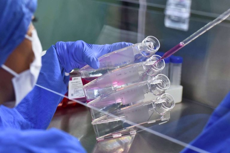 Los especialistas de Immunotherapy Regenerative Medicine™ ofrecen terapia celular y medicina regenerativa