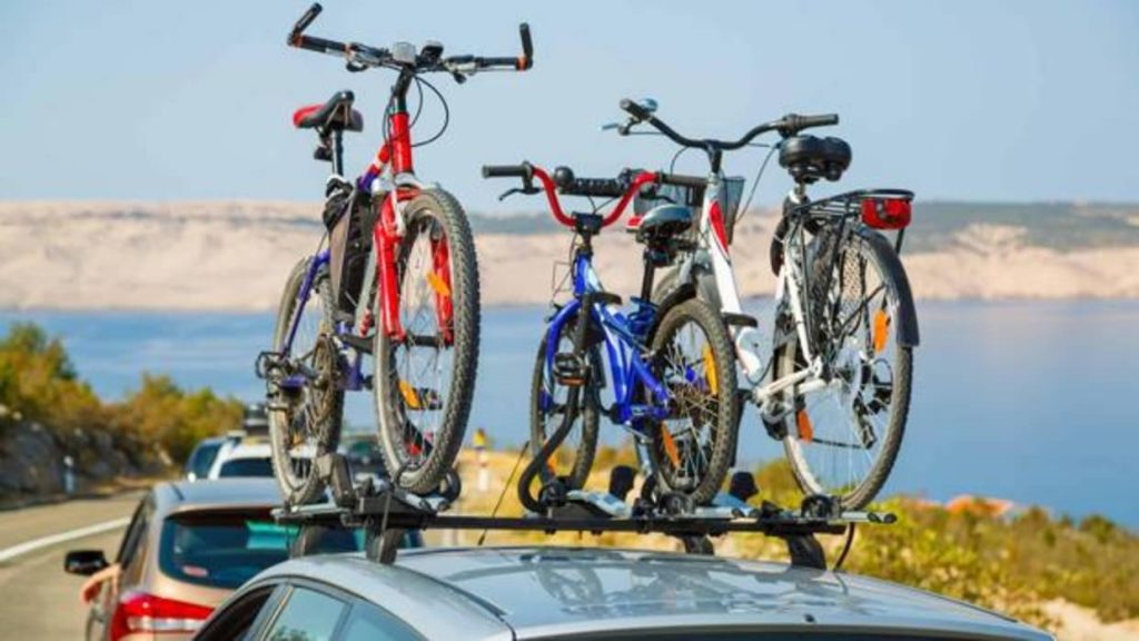 Conclusiones: La Importancia del Cumplimiento Normativo