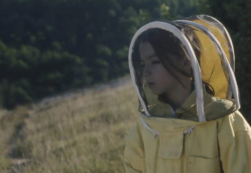 Descubre las películas nominadas a los Premios Goya 2024 que puedes ver en Filmin y Movistar TV