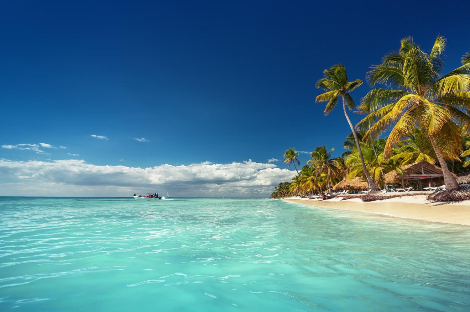 PARAÍSOS TROPICALES