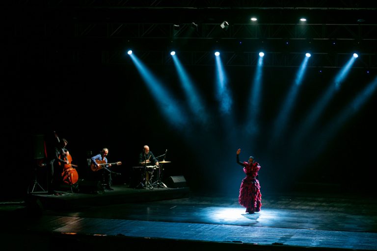 El Comité de Iniciativa ‘Andalucía: Historia y Civilización’ concluye con éxito la ‘Noche Flamenca’