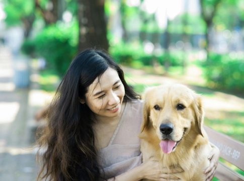 Qué puedes hacer para proteger a tu perro de los fuegos artificiales ¿Tu perro sufre con los fuegos artificiales? Así puedes protegerlo en Nochevieja