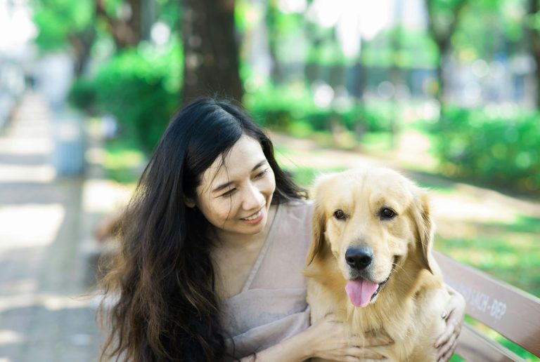 Ola de calor: cómo proteger a tu perro con los consejos de los veterinarios