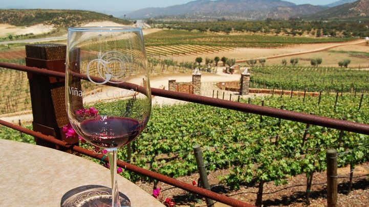 Los vinos españoles con los que maridar a la perfección tus menús de Navidad y triunfar como anfitriona 4 EN CONCLUSIÓN