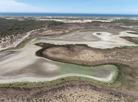 Tiempos críticos en Doñana: Descubriendo la crisis ambiental y los desafíos para su recuperación en 2024