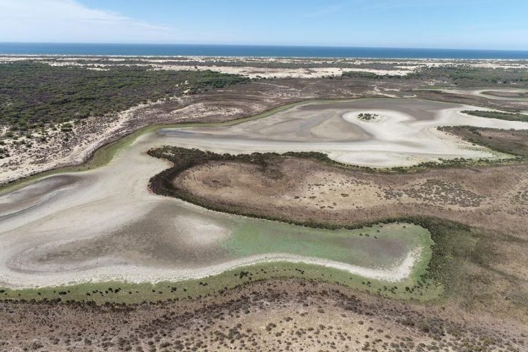 Doñana: Una crisis ambiental clave de 2024