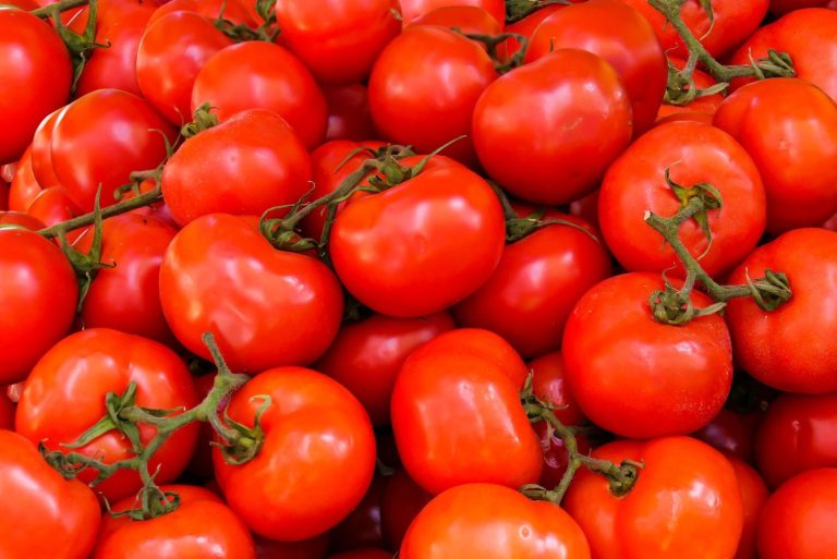 El II Concurso de Tomates Urbanos de Barcelona: tomates de balcón, paella y música este sábado