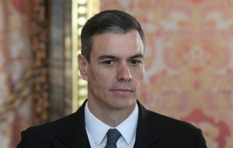 Un perro desata las risas en el Parlamento Europeo con Pedro Sánchez presente