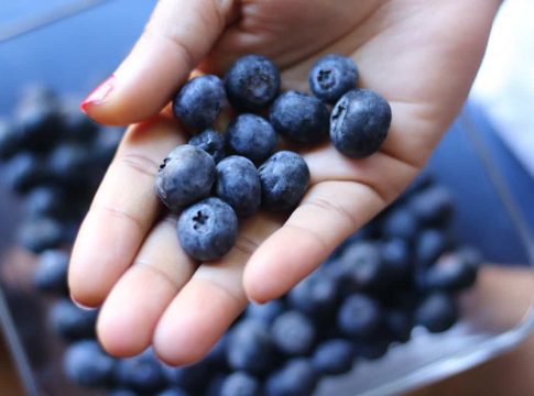 arandanos belleza arándanos